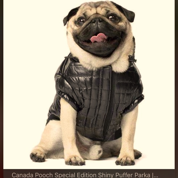 CANADA POOCH LTD (NWT) BLACK SHINY PUFFER VESTSize 20 (50 CM) 33-40LB (15-18 KG) - Picture 1 of 7